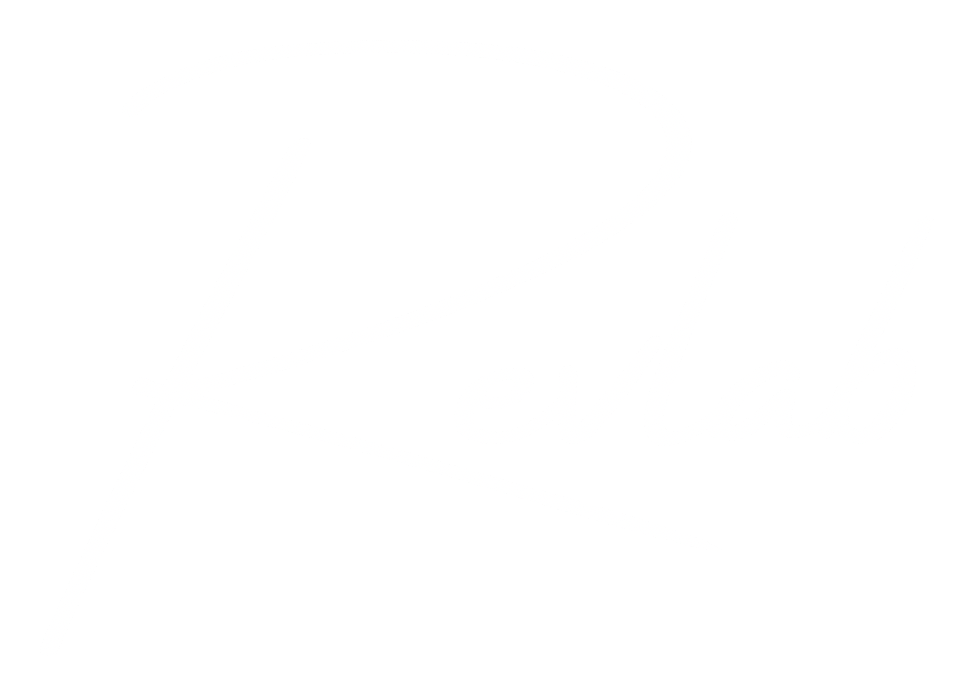 Revlab